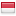 http://www.erevollution.com/public/game/flags/shiny/16/Indonesia.png