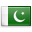 http://www.erevollution.com/public/game/flags/shiny/32/Pakistan.png