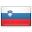 http://www.erevollution.com/public/game/flags/shiny/32/Slovenia.png
