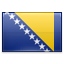 http://www.erevollution.com/public/game/flags/shiny/64/Bosnia-and-Herzegovina.png