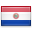 https://www.erevollution.com/public/game/flags/shiny/32/Paraguay.png
