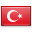 https://www.erevollution.com/public/game/flags/shiny/32/Turkey.png