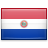 https://www.erevollution.com/public/game/flags/shiny/48/Paraguay.png
