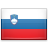 https://www.erevollution.com/public/game/flags/shiny/48/Slovenia.png