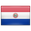 https://www.erevollution.com/public/game/flags/shiny/64/Paraguay.png
