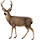 https://www.erevollution.com/public/game/resource/Deer.png